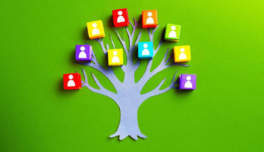 External content provider image