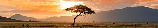 East Africa